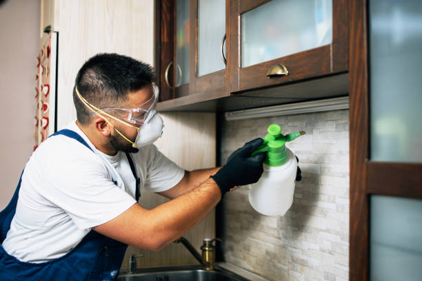 Best Wildlife Control Services  in Belmont Estates, VA