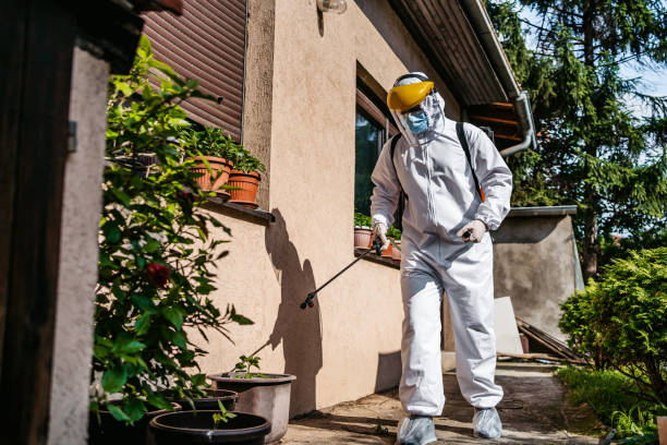 Best Termite Control Services  in Belmont Estates, VA