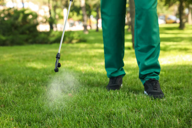 Best Insect Control  in Belmont Estates, VA