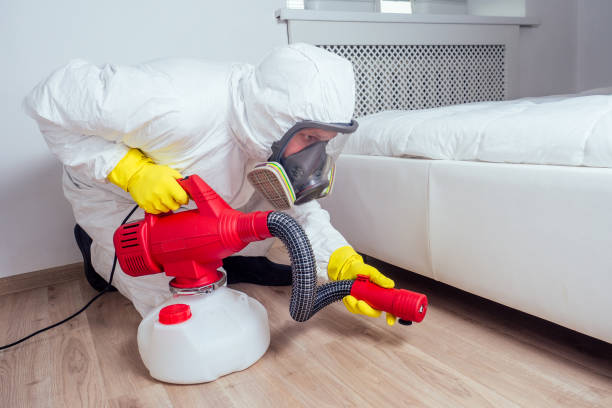 Best Affordable Pest Control Services  in Belmont Estates, VA