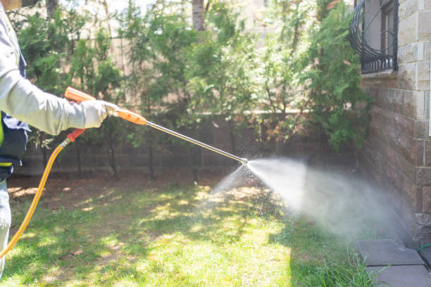 Best Pest Prevention Services  in Belmont Estates, VA