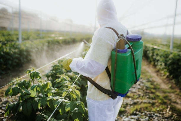 Pest Control Cost in Belmont Estates, VA